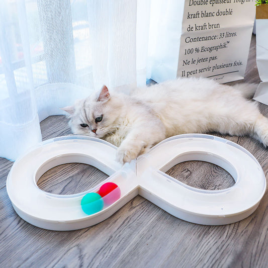 Cat Tunnel Toy