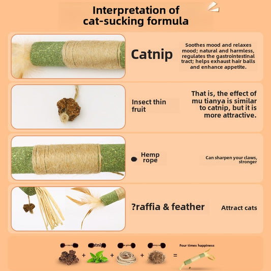 Cat Molar Rod