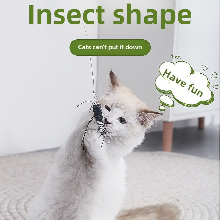 Insect Cat Teaser